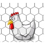 Chicken Wire. 13mm x 13mm x 0.7mm. 1m High X 25m Long